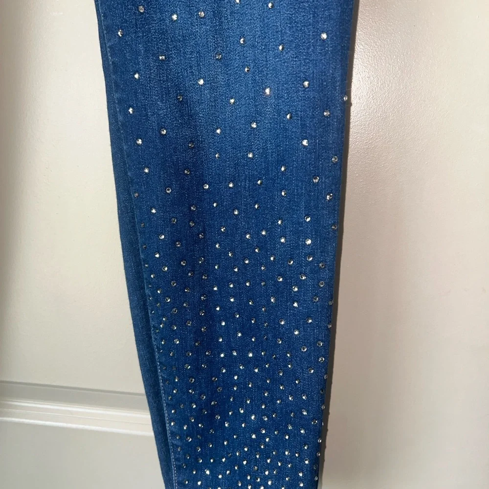 Lane Bryant Signature Fit Skinny Jean With Rhinestones - Picture 4 of 10